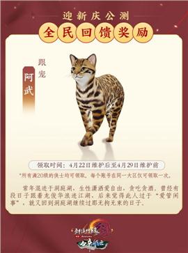 天龙八部来了变态私服